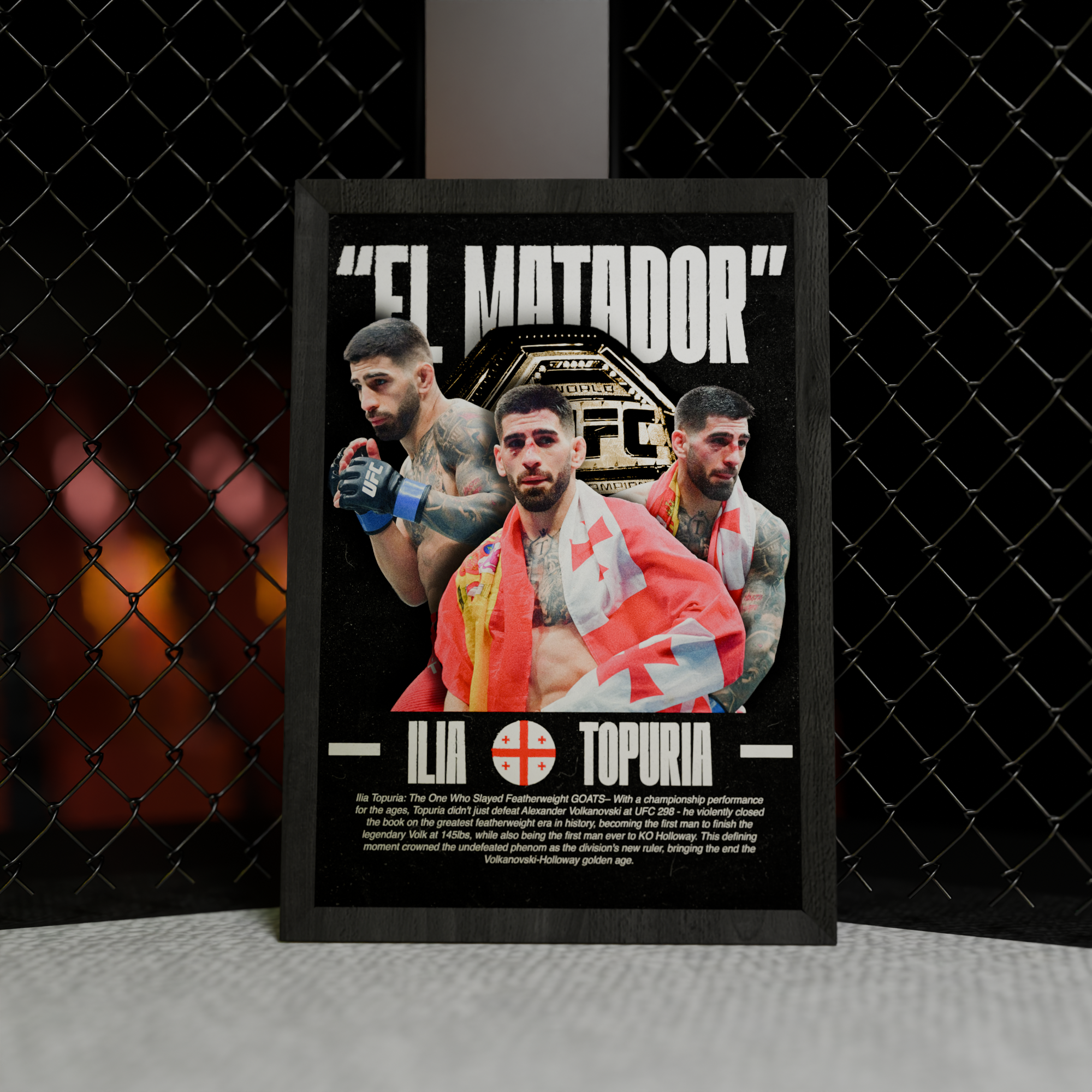 UFC Poster 3