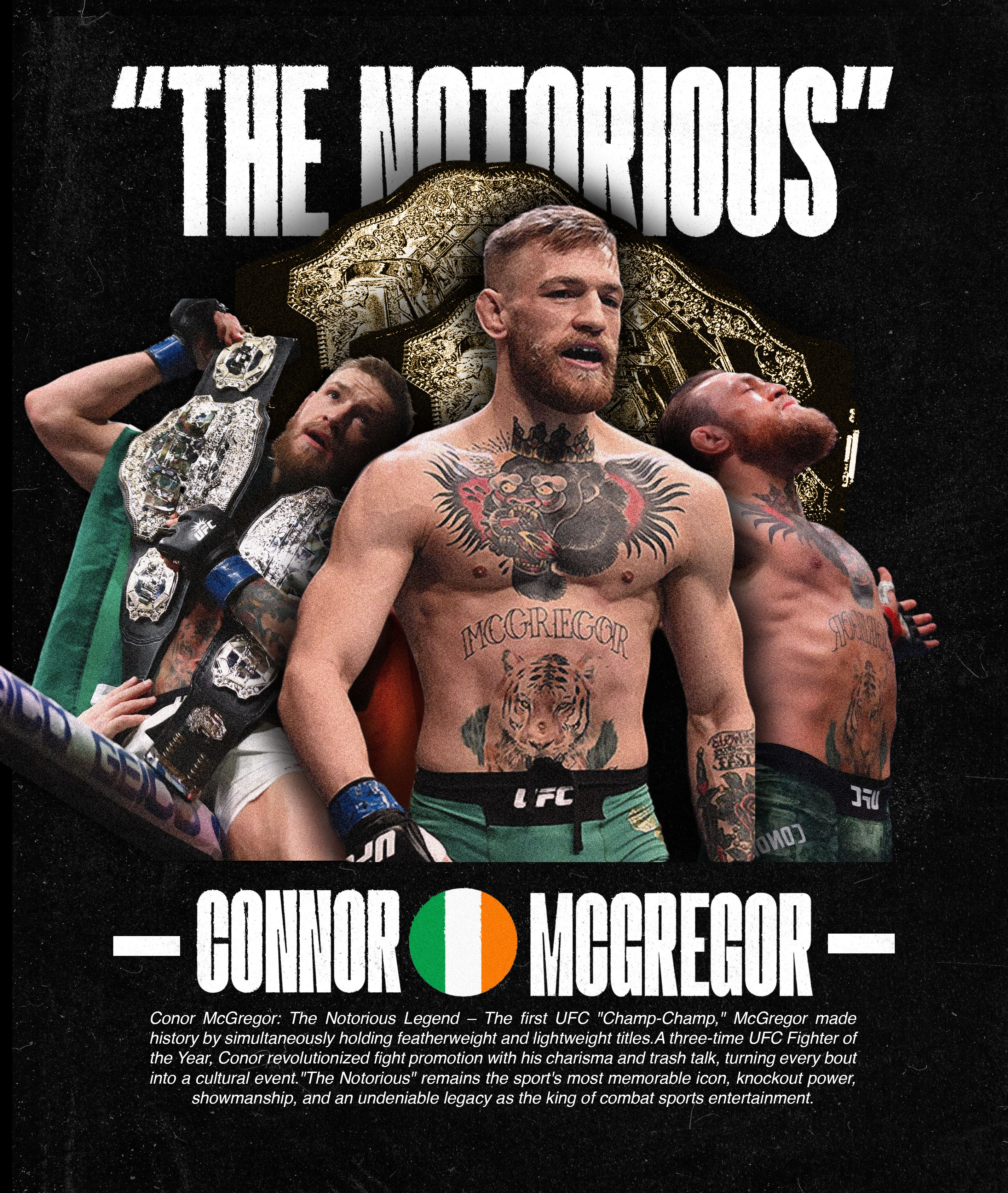 UFC Poster 6