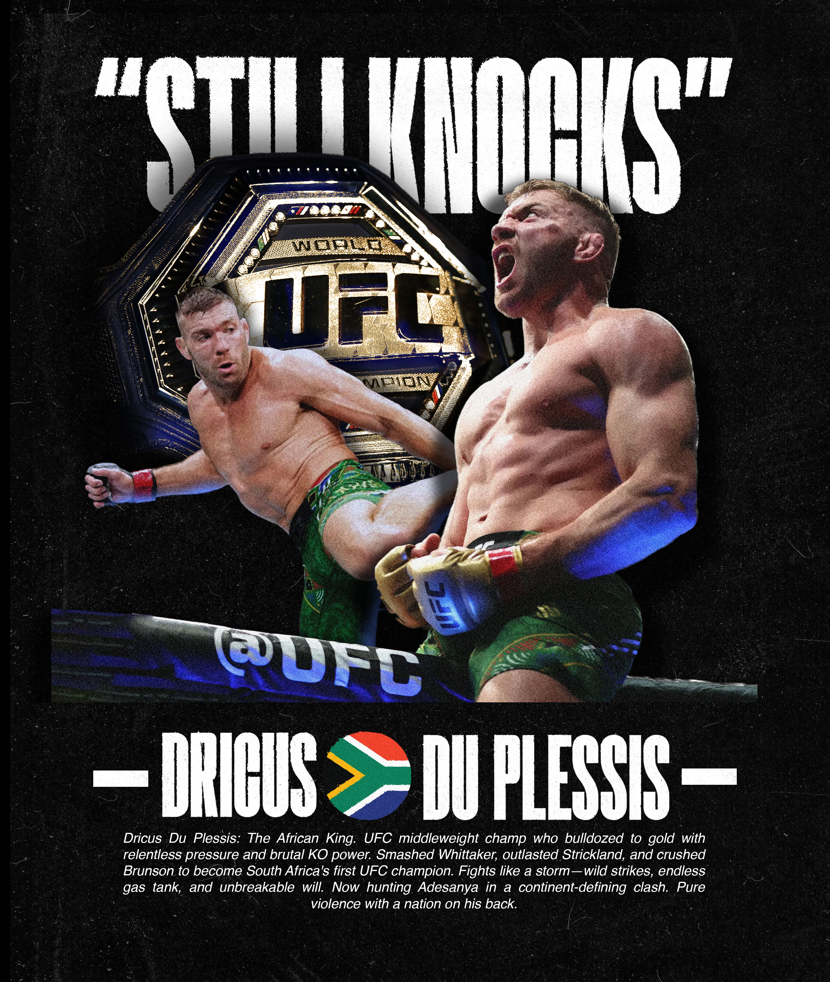 UFC Poster 8