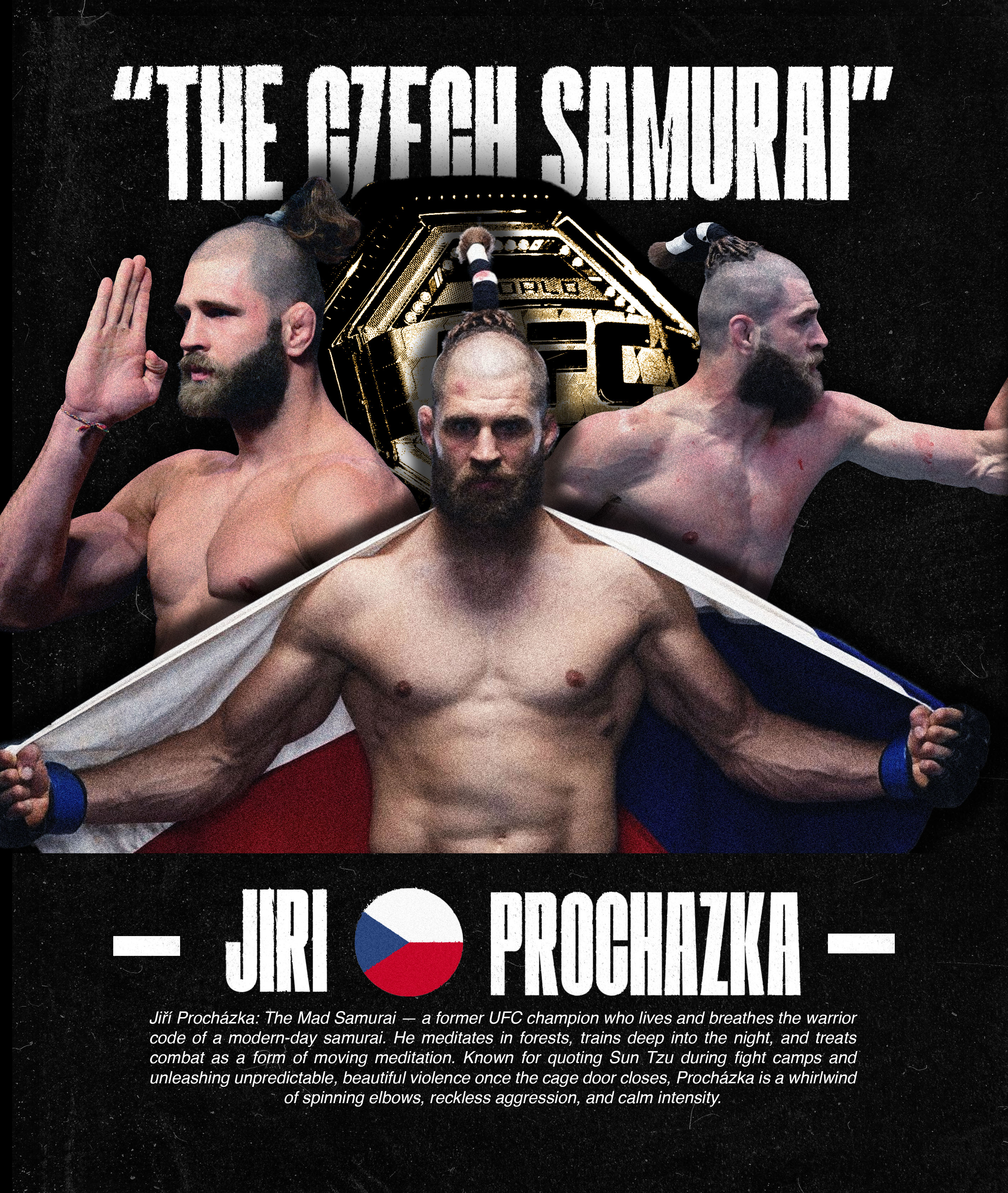 UFC Poster 13