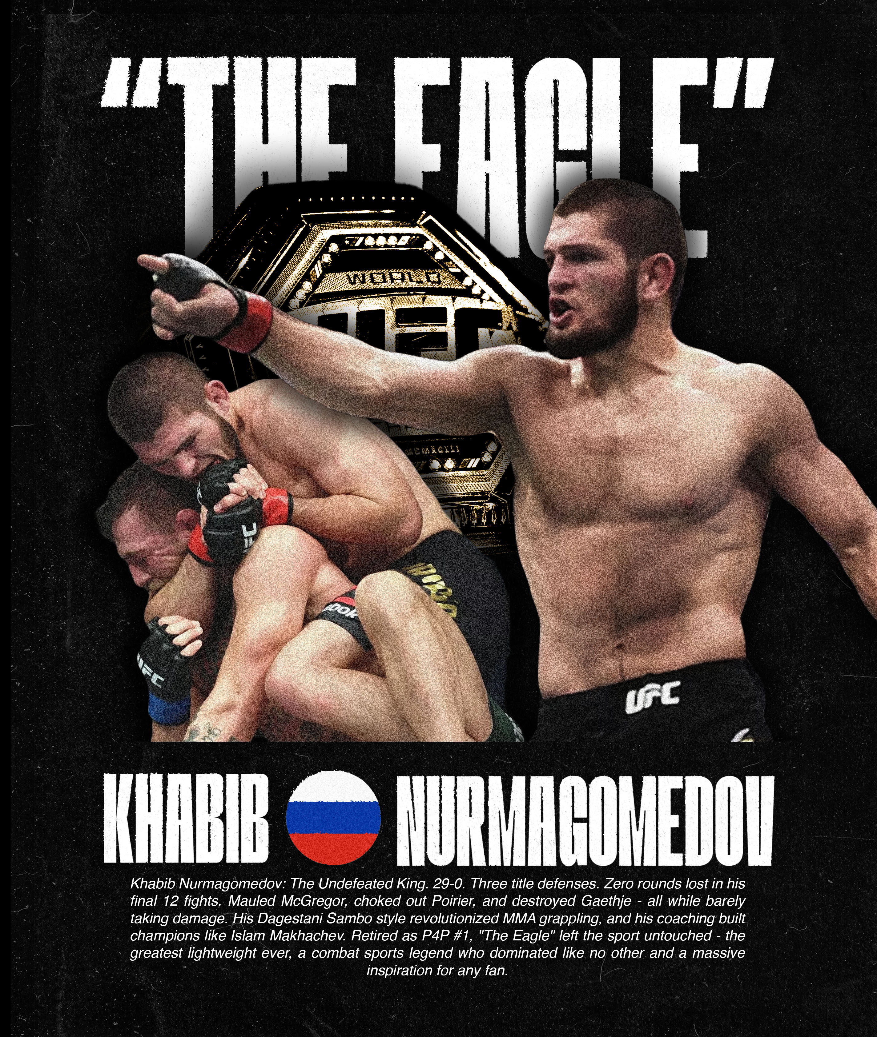 UFC Poster 15
